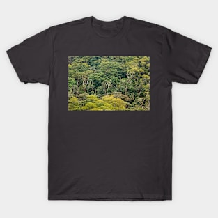 Aerial view of rainforest canopy T-Shirt